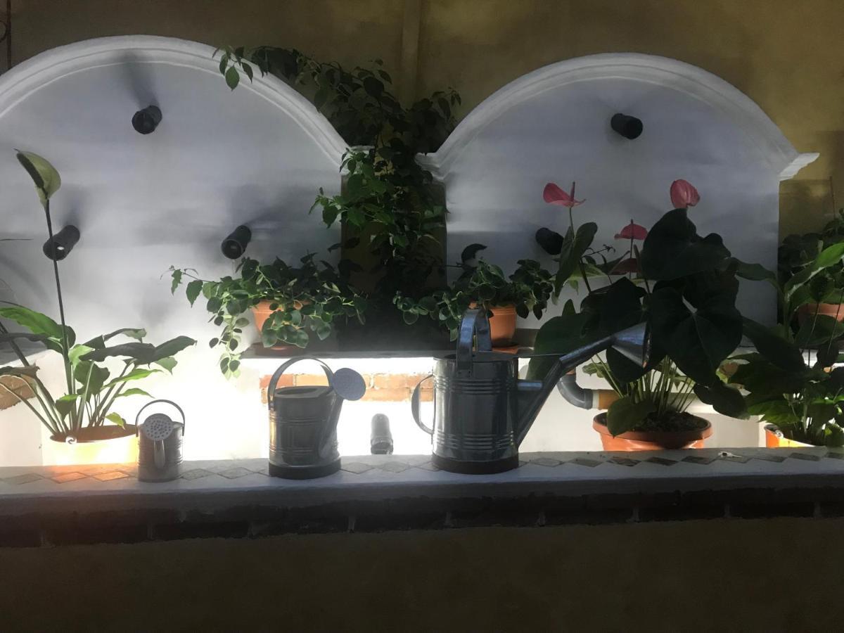 Hotel Boutique Casa Jose Cobán Εξωτερικό φωτογραφία